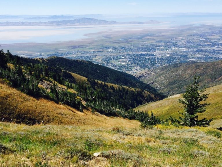 Beautiful Fruit Heights UT Grant Chiropractic