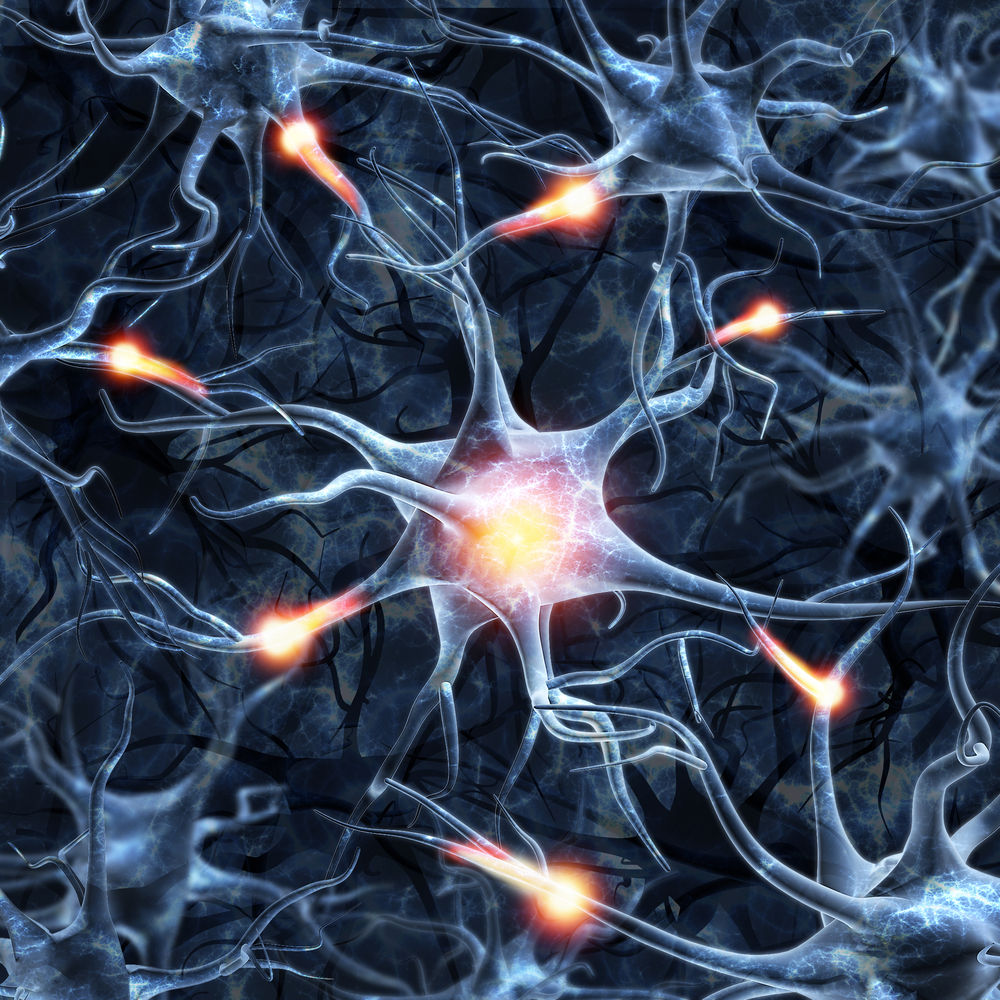 How your nervous system helps your body heal Kaysville UT